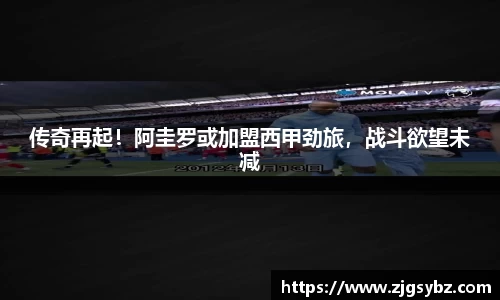 星空.综合体育官网